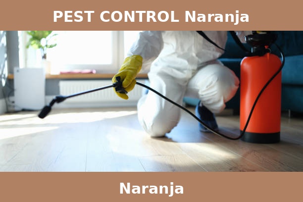 PEST CONTROL Naranja